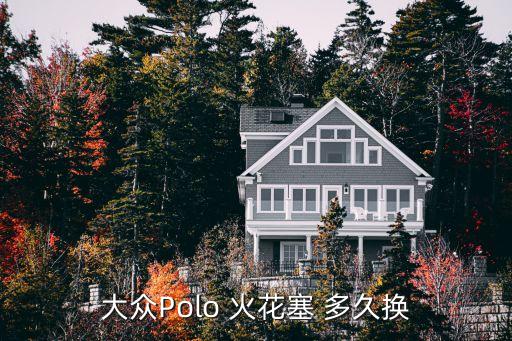 大众Polo 火花塞 多久换