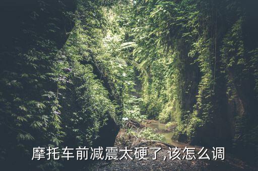 海马海福星前减振硬怎么办