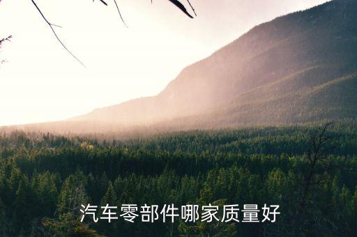  汽车零部件哪家质量好