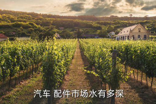  汽车 配件市场水有多深