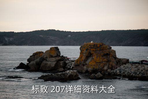 标志207三厢喷水电机是什么样的