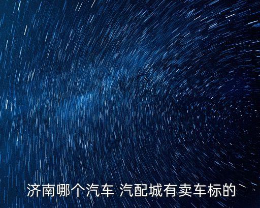  济南哪个汽车 汽配城有卖车标的