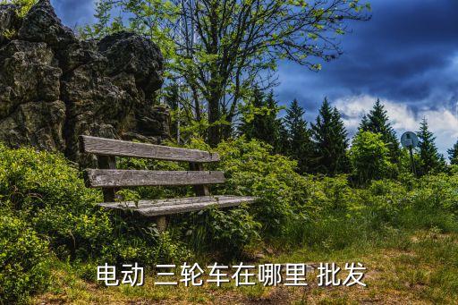  电动 三轮车在哪里 批发