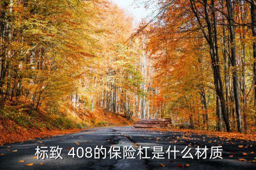  标致 408的保险杠是什么材质