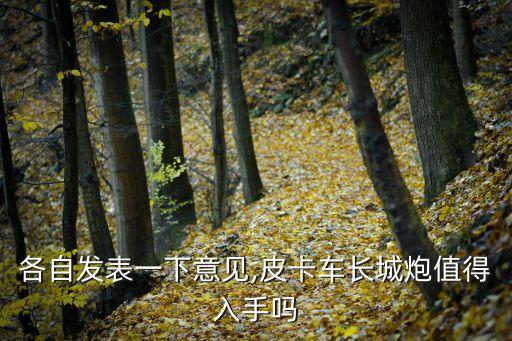 各自发表一下意见,皮卡车长城炮值得入手吗