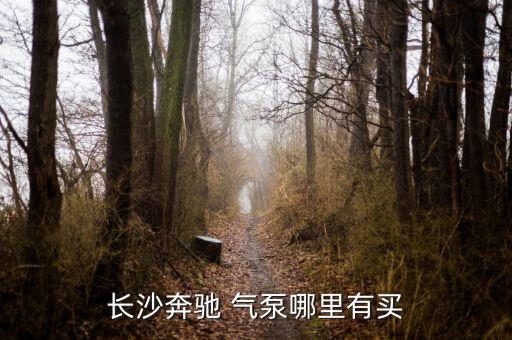 长沙奔驰 气泵哪里有买