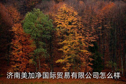济南世购汽车用品批发广场怎么样,济南最大汽车用品批发