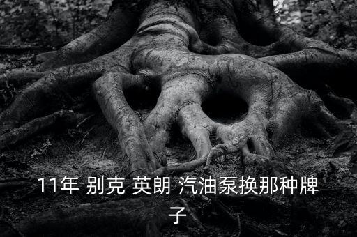 11年 别克 英朗 汽油泵换那种牌子