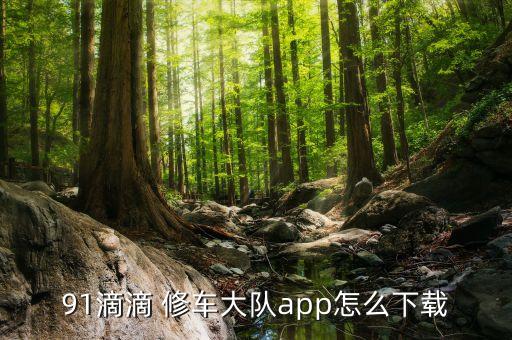修车软件,笔记本电脑修车软件