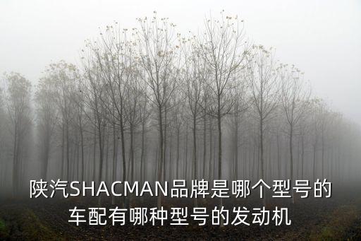 陕汽SHACMAN品牌是哪个型号的车配有哪种型号的发动机