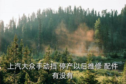 上汽大众手动挡 停产以后维修 配件有没有