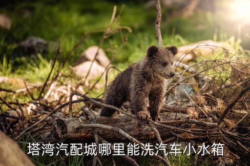 塔湾汽配城哪里能洗汽车小水箱