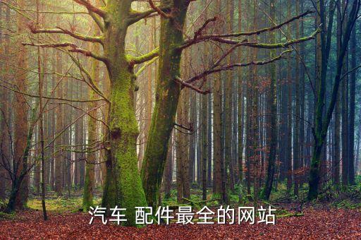 买汽车配件上什么平台,深圳送汽车配件什么平台