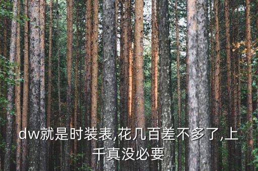 dw就是时装表,花几百差不多了,上千真没必要