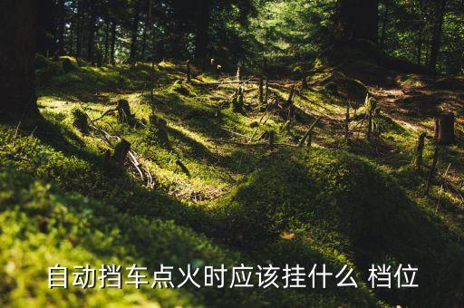 闲置车多久打火一次好挂什么档位