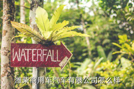 潍柴商用车汽车有限公司怎么样