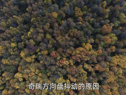  奇瑞方向盘抖动的原因