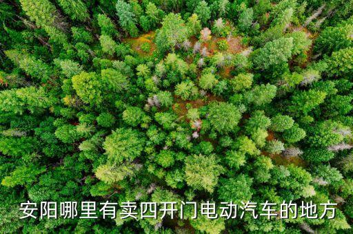  安阳哪里有卖四开门电动汽车的地方
