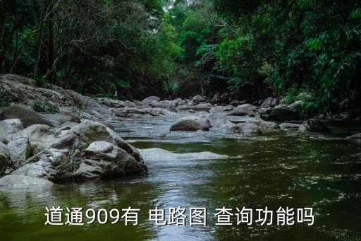 道通909有 电路图 查询功能吗