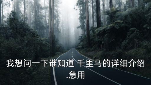 我想问一下谁知道 千里马的详细介绍.急用