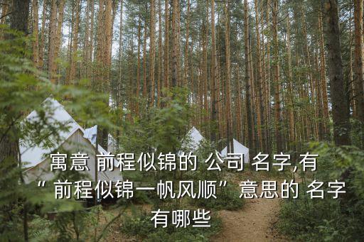  寓意 前程似锦的 公司 名字,有“ 前程似锦一帆风顺”意思的 名字有哪些