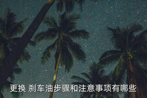 刹车油壶加什么,刹车上的油壶有什么用