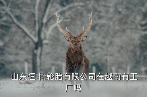  山东恒丰 轮胎有限公司在越南有工厂吗