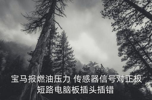 宝马报燃油压力 传感器信号对正极短路电脑板插头插错