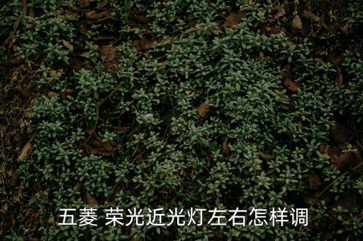  五菱 荣光近光灯左右怎样调