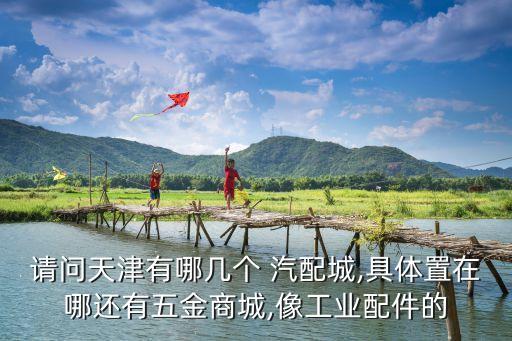 请问天津有哪几个 汽配城,具体置在哪还有五金商城,像工业配件的