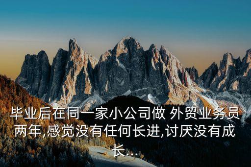 毕业后在同一家小公司做 外贸业务员两年,感觉没有任何长进,讨厌没有成长...