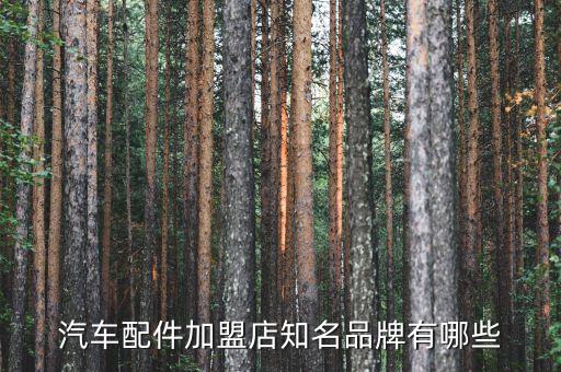 好美特汽配连锁