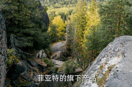  菲亚特的旗下产品
