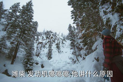  潍柴 发动机嚓嚓嚓,他讲什么原因