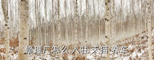 修理厂怎么 入驻 天猫 养车