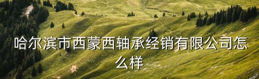  哈尔滨市西蒙西轴承经销有限公司怎么样