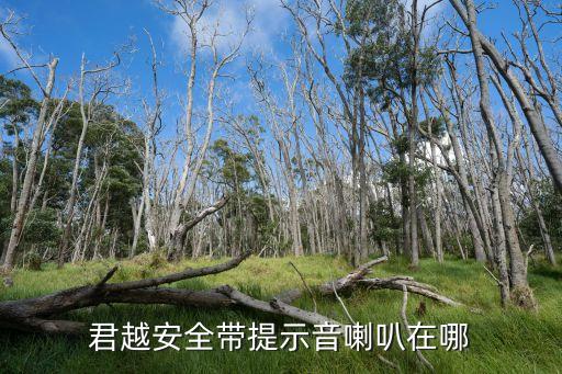 君越安全带提示音喇叭在哪