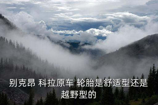 昂科拉轮胎怎么样,2015款昂科拉轮胎尺寸