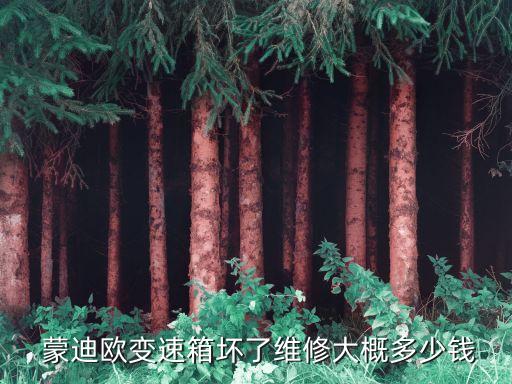  蒙迪欧变速箱坏了维修大概多少钱