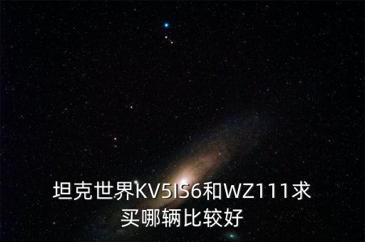 坦克世界KV5IS6和WZ111求买哪辆比较好