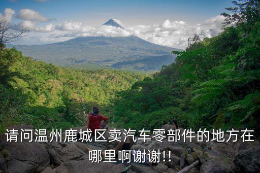 请问温州鹿城区卖汽车零部件的地方在哪里啊谢谢!!