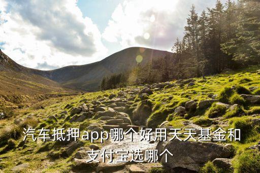  汽车抵押app哪个好用天天基金和支付宝选哪个