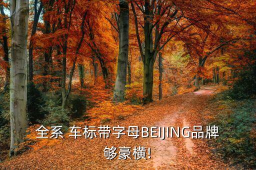 全系 车标带字母BEIJING品牌够豪横!