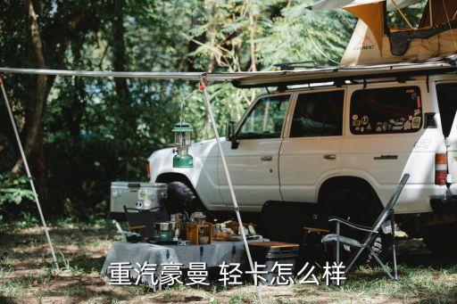 重汽豪曼 轻卡怎么样