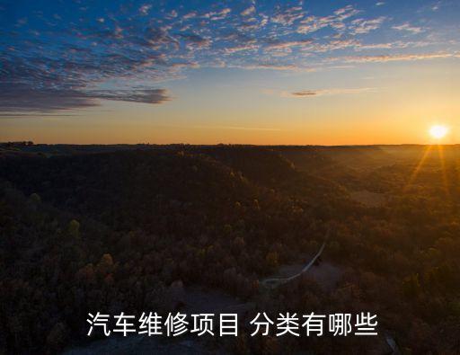 汽车服务分类,根据汽车服务部位分类