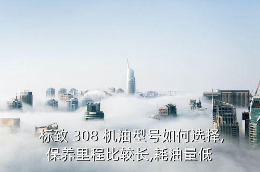 标致308用什么牌子机油,标致用什么牌子的机油好