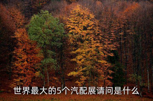 国际汽车配件