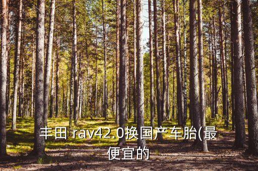 丰田 rav42.0换国产车胎(最便宜的