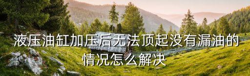  液压油缸加压后无法顶起没有漏油的情况怎么解决