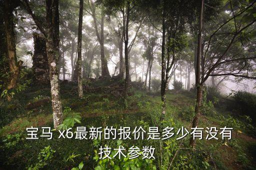  宝马 x6最新的报价是多少有没有技术参数